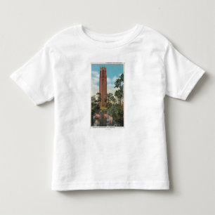 Sjön Wales, FL - beskåda av att sjunga T-shirt