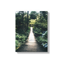 Sjöpromenad genom skogen