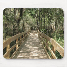 Sjöpromenad genom Skogen