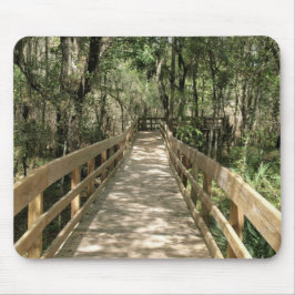 Sjöpromenad genom Skogen Musmatta