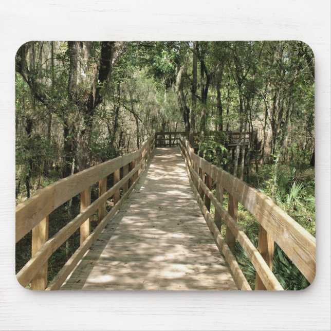 Sjöpromenad genom Skogen Musmatta (Framsidan)