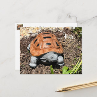 Sjöschildpadda, Hej eller din text, Anpassade vyko Vykort