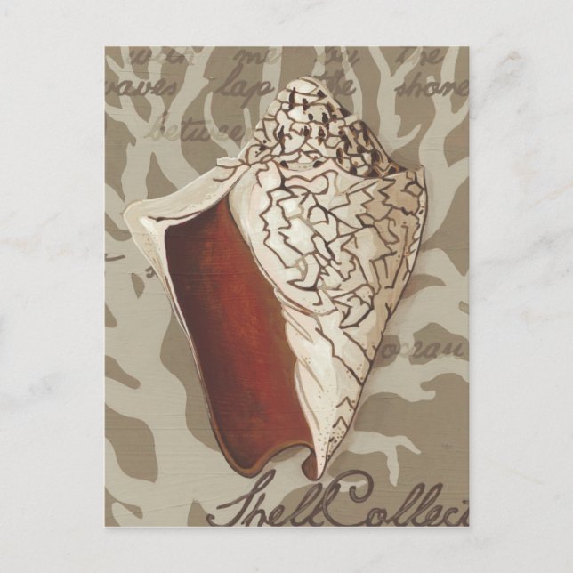 Sjösidessonnet IV Vykort (Framsida)