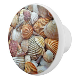 Sjöskal Knopp