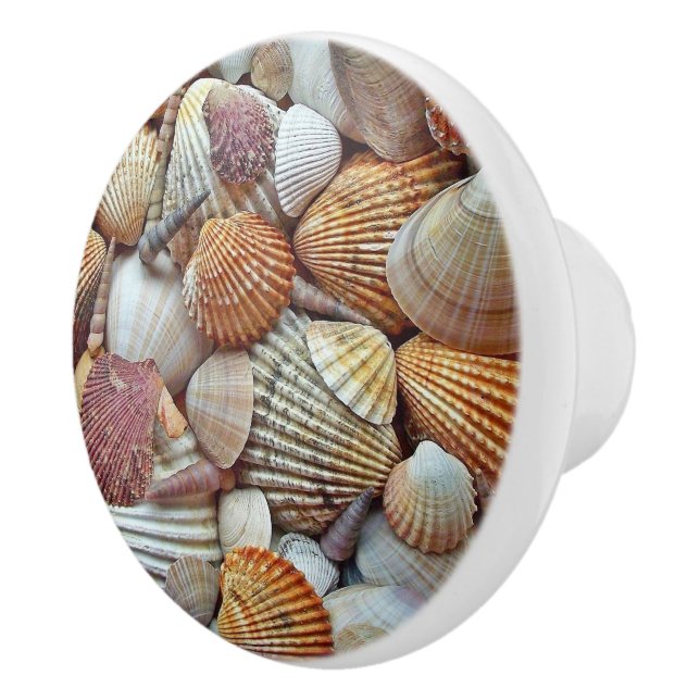 Sjöskal Knopp (Höger)