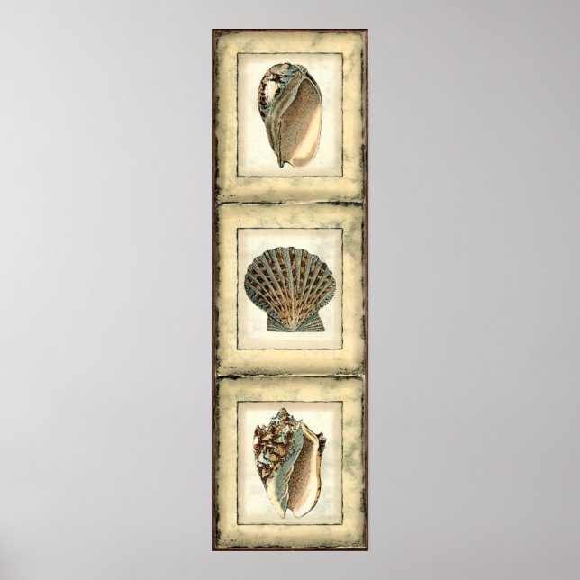 Sjöskapelser vid kusten poster (Framsidan)