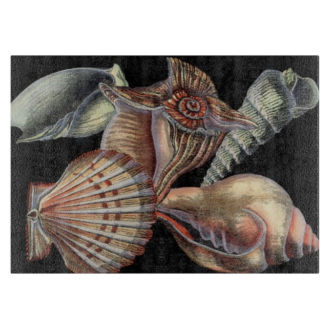 Sjöskatter (Framsidan)