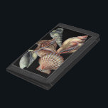 Sjöskatter<br><div class="desc">Den här konsten visningar det finaste saken i havet. Hitta alla olika typer av havsliv i den här bilden,  inklusive Conch Seashell,  Sand Dollars och Reefs begravda i havet. Den här konstsamlingen är ett måste i dina nästa Zazzle-produkter.</div>