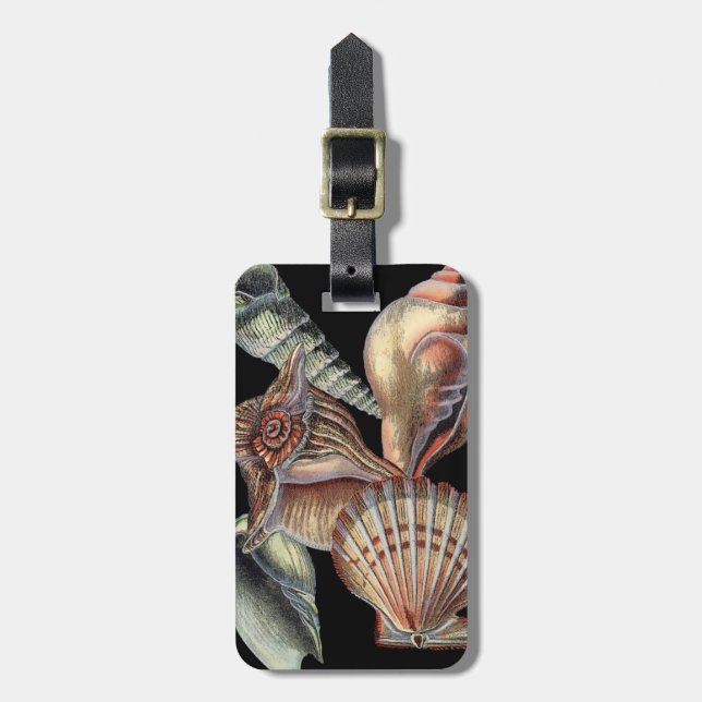 Sjöskatter Bagagebricka (Vertikal Framsida)