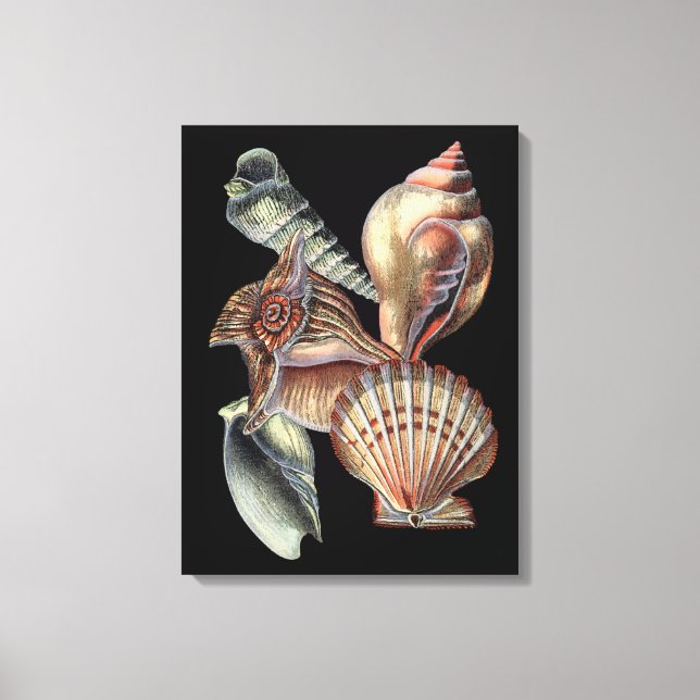 Sjöskatter Canvastryck (Framsida)