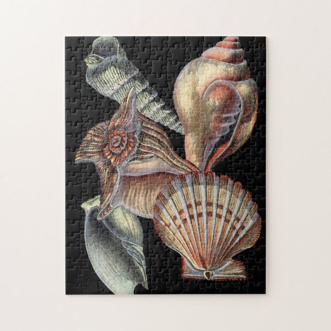 Sjöskatter Pussel (Vertikal)