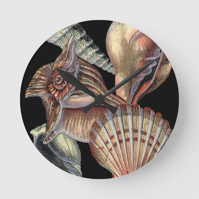 Sjöskatter Rund Klocka (Framsida)