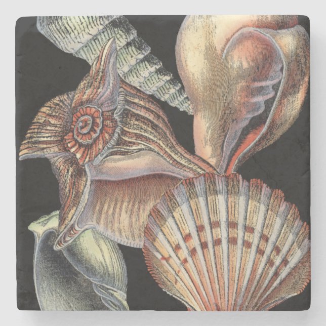 Sjöskatter Stenunderlägg (Framsidan)