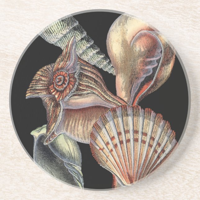 Sjöskatter Underlägg (Framsidan)