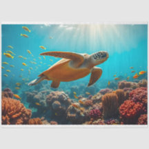 Sjösköldpaddor och många små undervattensfiskar