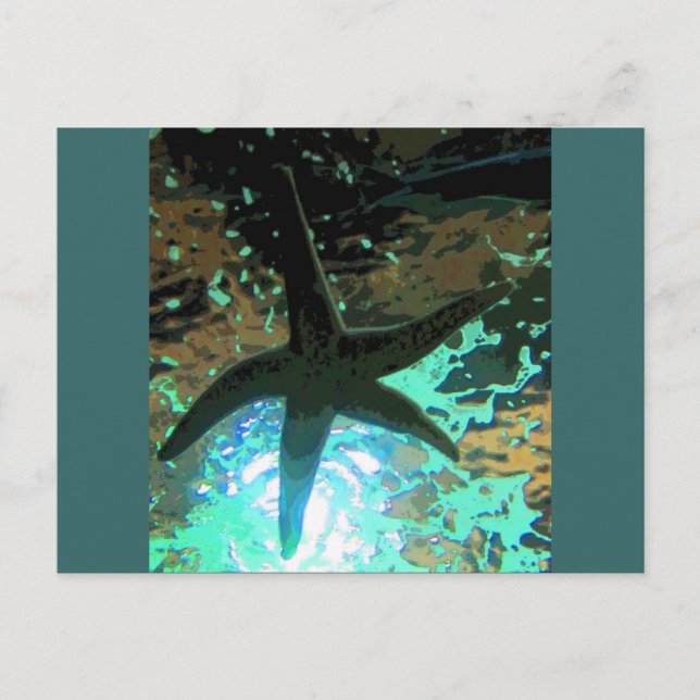 Sjöstjärna CB Vykort (Framsida)