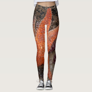 Sjöstjärna-/havsstjärnor i kanon sätter på land, leggings