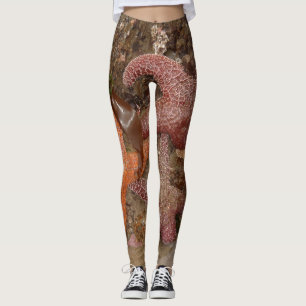 Sjöstjärna-/havsstjärnor i kanon sätter på land, leggings