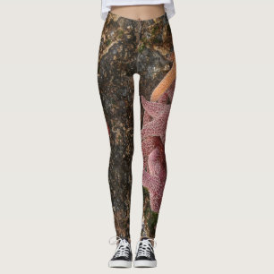 Sjöstjärna-/havsstjärnor i kanon sätter på land, leggings
