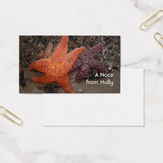 Sjöstjärna-/havsstjärnor, kanonstrand ELLER, foto Visitkort (Kontor)