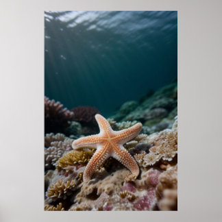 Sjöstjärna i djuphavet poster