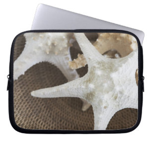 Sjöstjärna i en basket laptop fodral