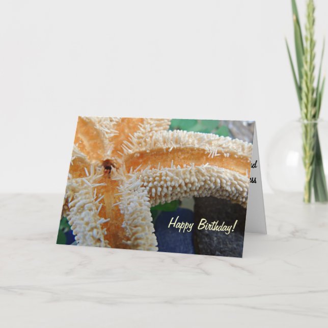 Sjöstjärna på det Glass födelsedagkortet för Kort (Framsida)