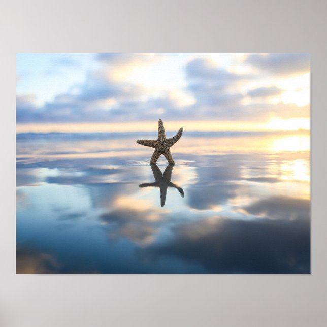 Sjöstjärna på stranden fotoaffisch tryck (Framsidan)