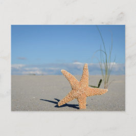 Sjöstjärna på stranden vykort