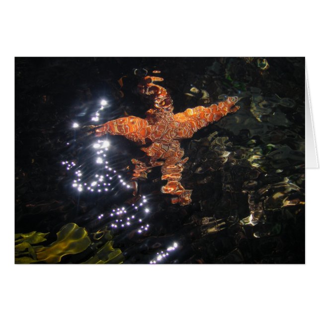 Sjöstjärna på Tidepool Hälsningskort (Framsidan Horizontal)