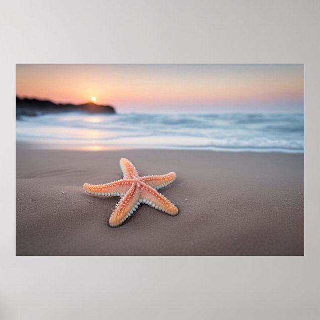 Sjöstjärna som ligger på en strand poster (Framsidan)