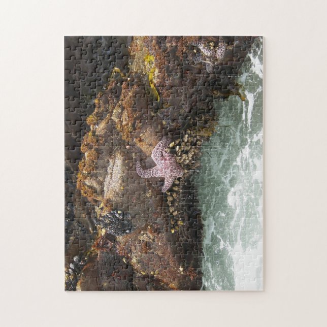 Sjöstjärna Tidepool Pussel (Vertikal)