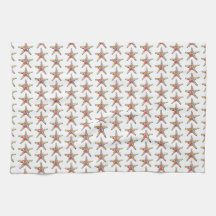 Sjöstjärnaregnbåge