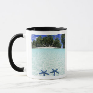 Sjöstjärnor, Rock Islands, Palau Mugg
