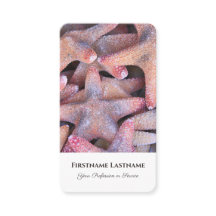 Sjöstjärnor, stjärnfisk, agent, experter