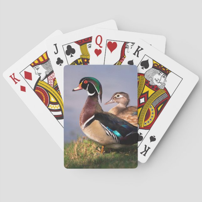 Sjöstrand, Mandarinand Casinokort (Baksidan)