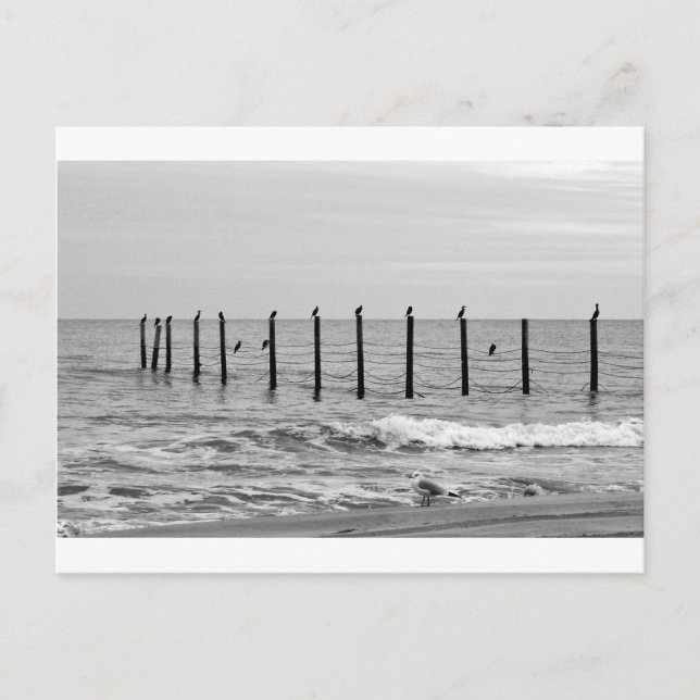 Sjöstrand Vykort (Framsida)