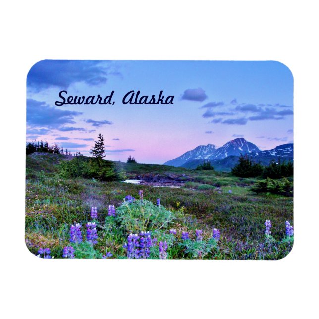 Sjövägen, Alaska Magnet-resan Magnet (Horisontell)