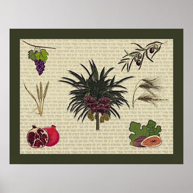 Sju arter poster (Framsidan)