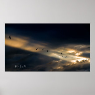 Sju Bird Vision, Bob Orsillo Poster