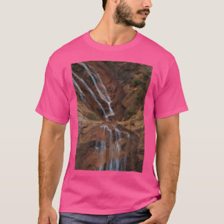 Sju boxar Colorado med Silky Vatten Closeup Acti T Shirt