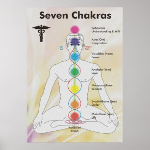 Sju Chakras Diagram Poster