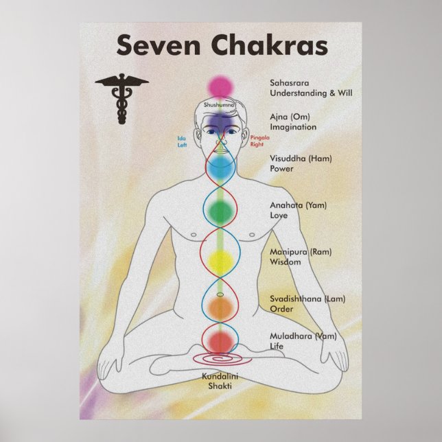 Sju Chakras Diagram Poster (Framsidan)