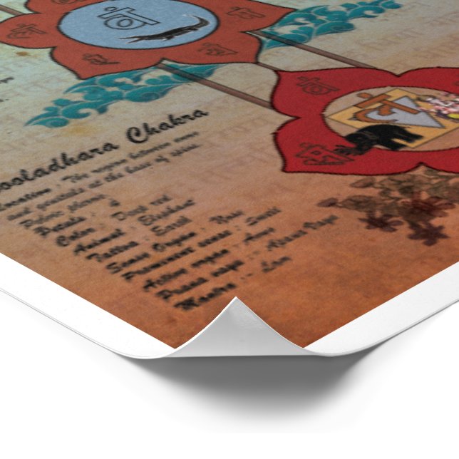 Sju Chakras Poster (Hörn)
