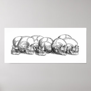 Sju Döskallar Poster