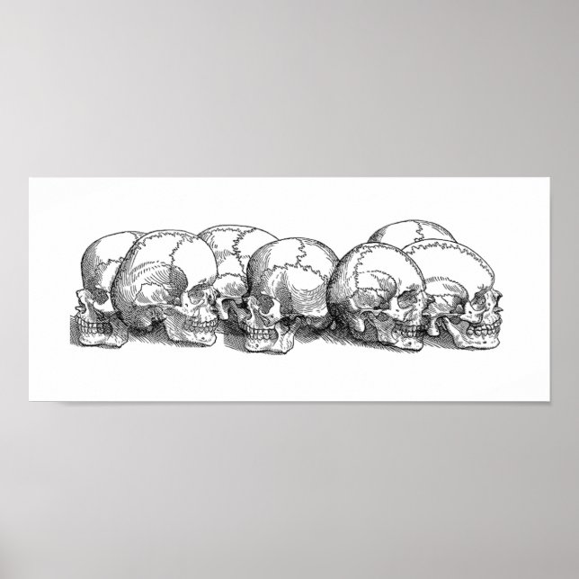 Sju Döskallar Poster (Framsidan)