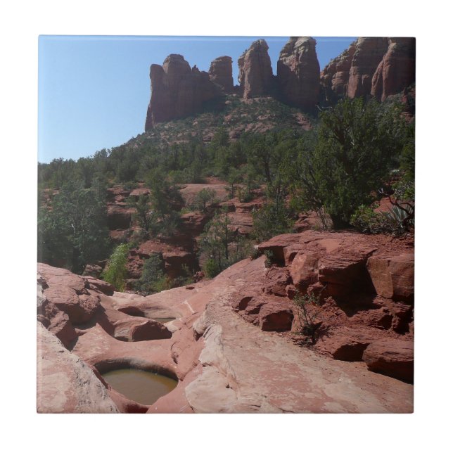 Sju Helig i Bassäng i Sedona Arizona Kakelplatta (Framsidan)