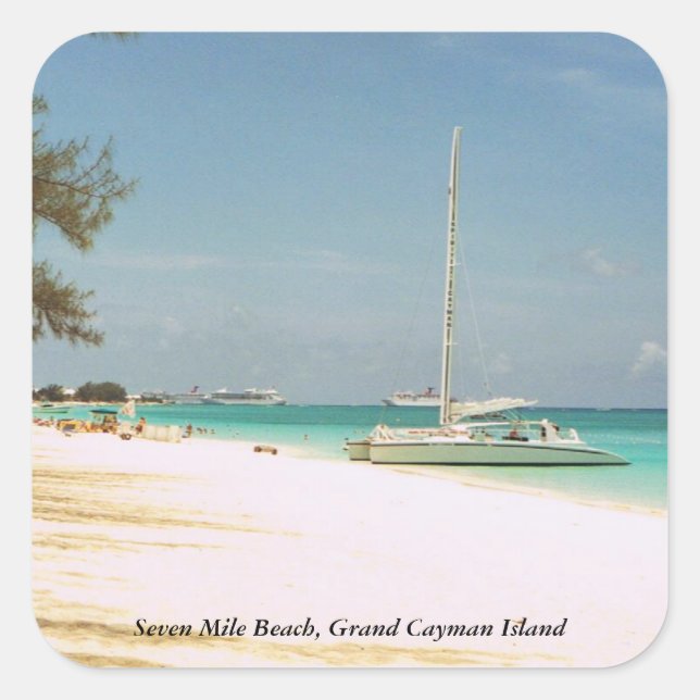 Sju mikrobiella fästdon fyrkantigt klistermärke (Framsida)