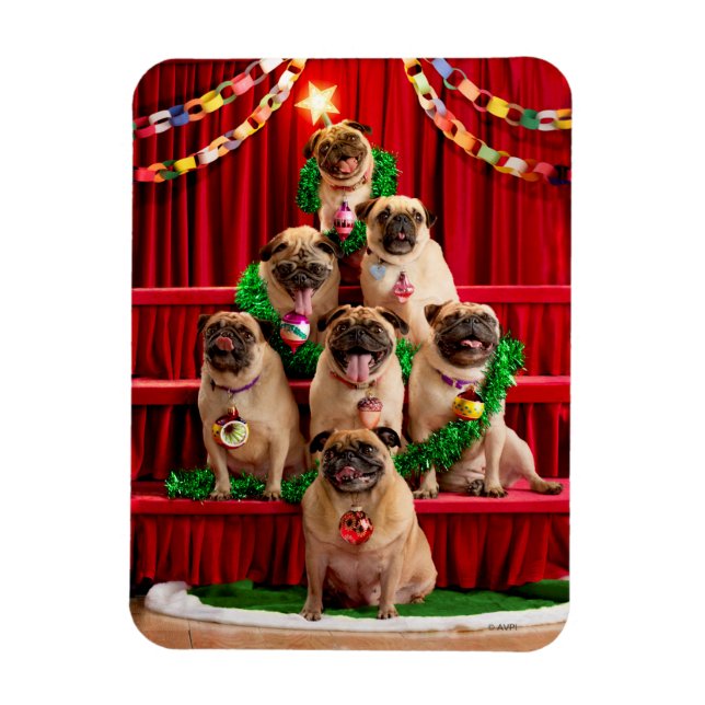 Sju Pugs-a-Posing Magnet (Vertikal)