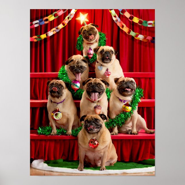 Sju Pugs-a-Posing Poster (Framsidan)